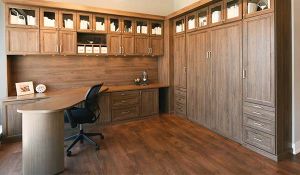 cocoa bean wallbed office view4